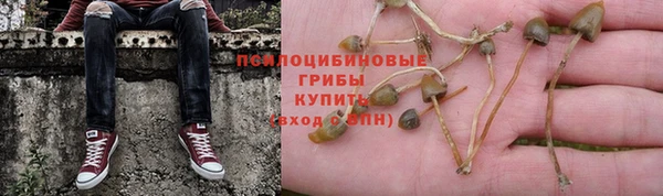 кокс Алексеевка