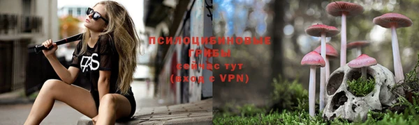кокс Алексеевка