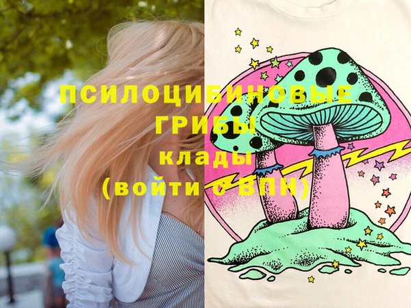 2c-b Алзамай
