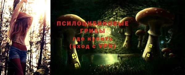 2c-b Алзамай