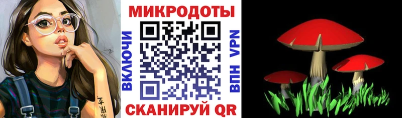 Галлюциногенные грибы Psilocybe  хочу   Калининск 
