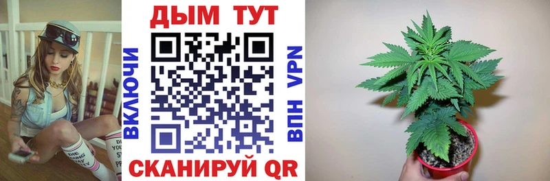 Канабис ГИДРОПОН  хочу   Калининск 